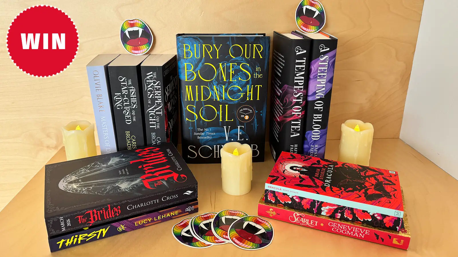 Bundle of vampire fantasy books