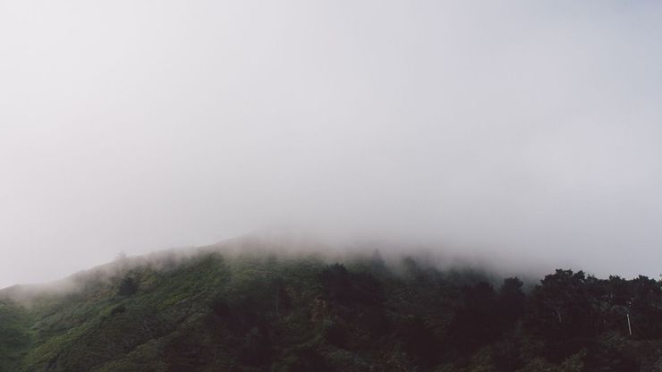 Article background