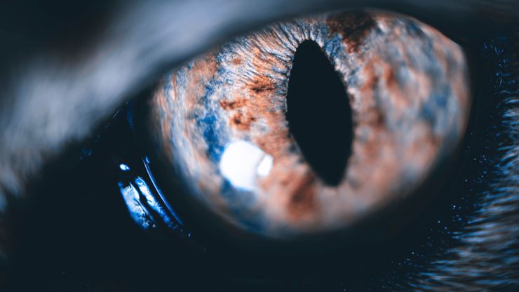 Article background