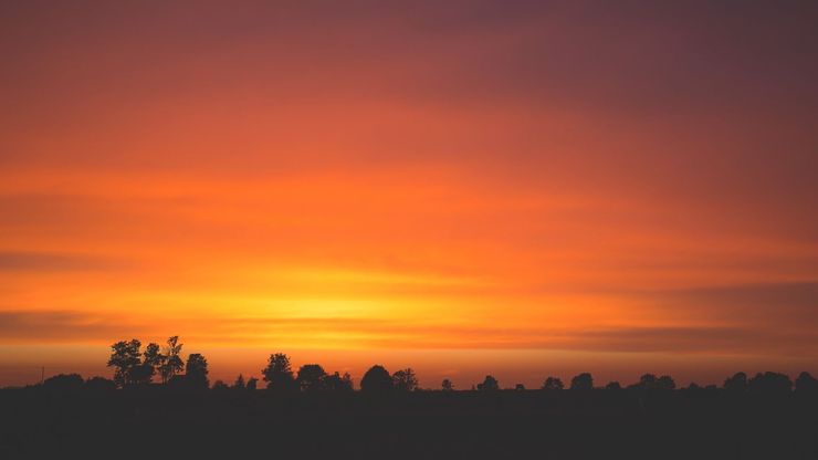 Article background