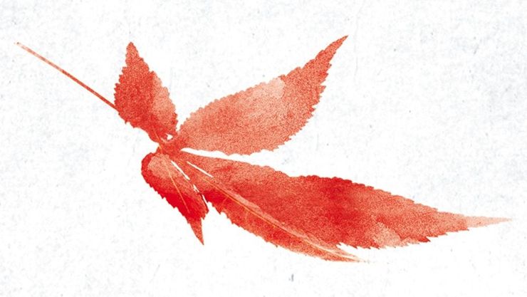 Article background