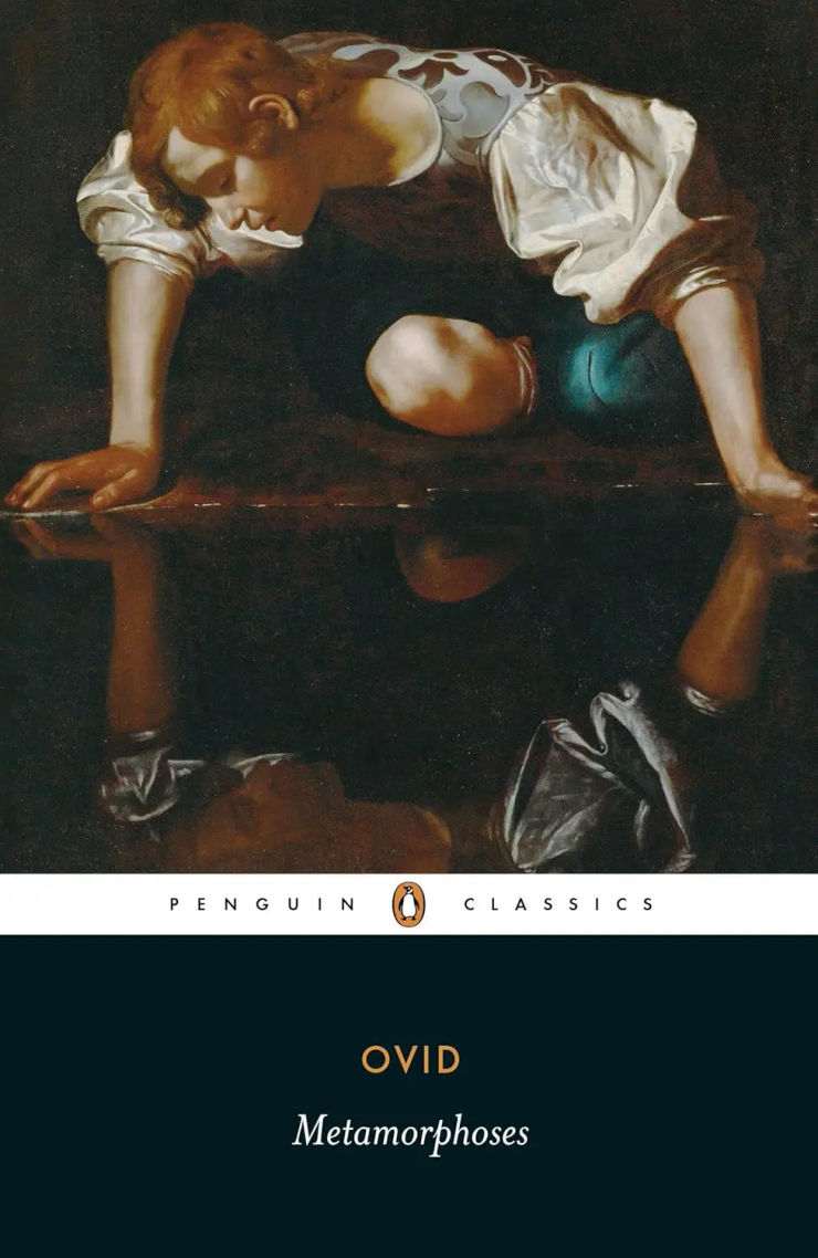 Book cover for Metamorphoses