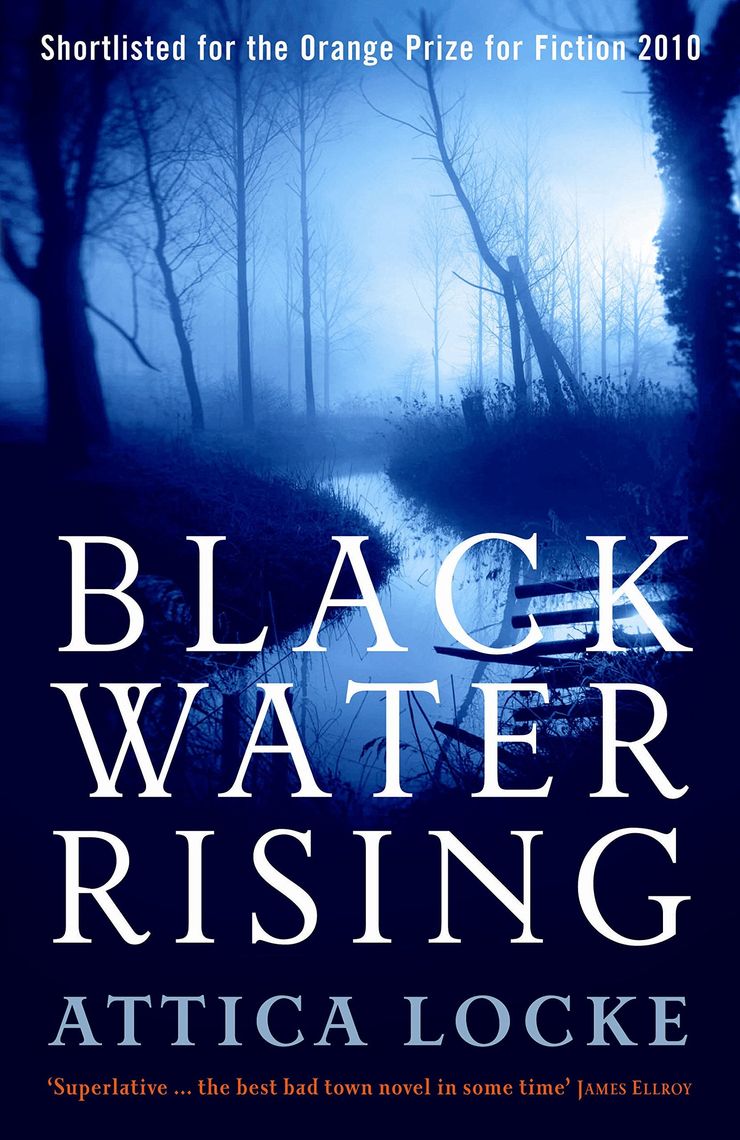 Book cover for Black Water Rising