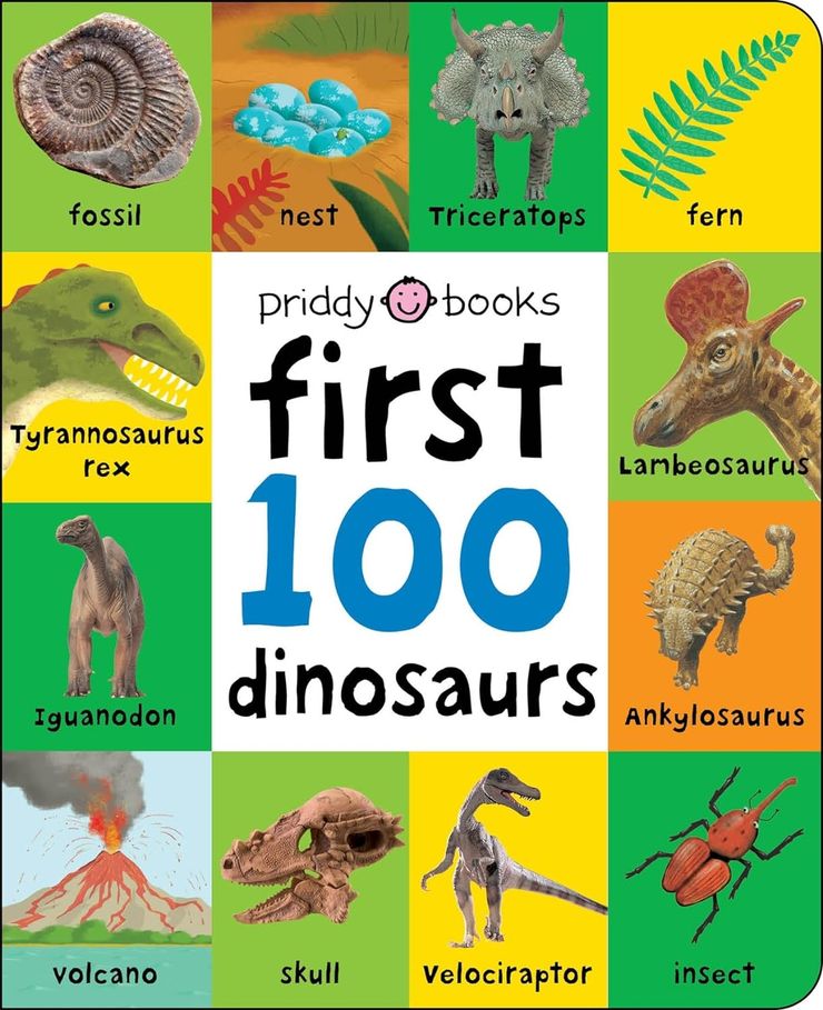 Book cover for First 100 Dinosaurs