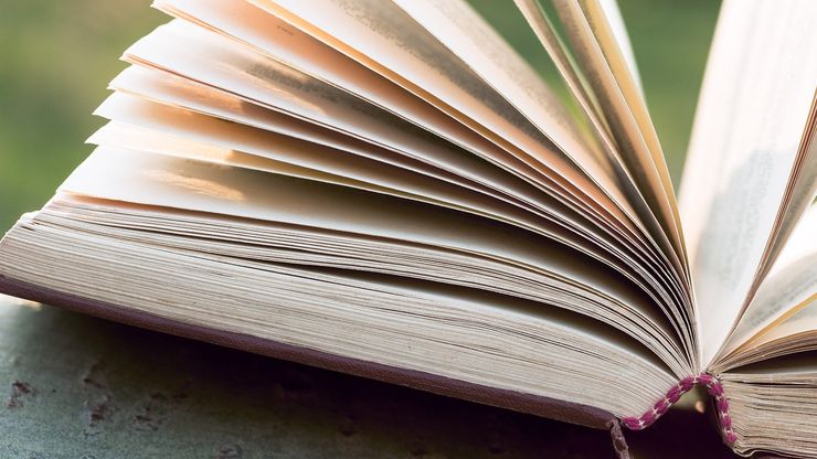 Article background
