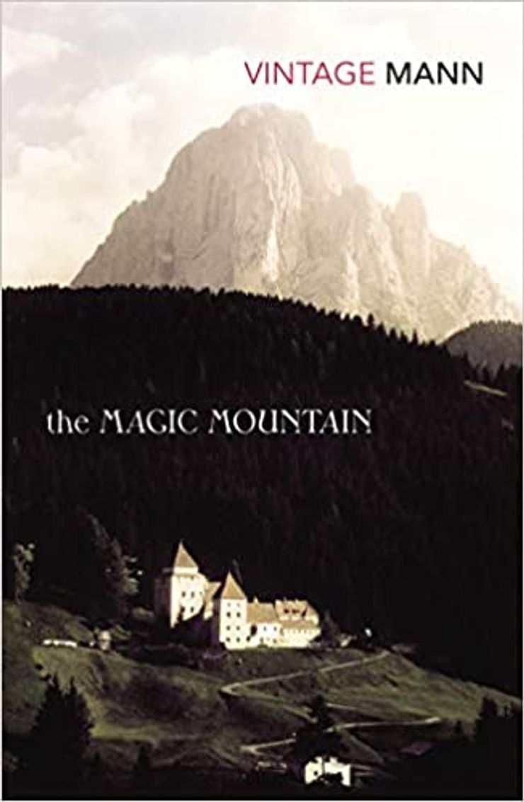 Book cover for The Magic Mountain
