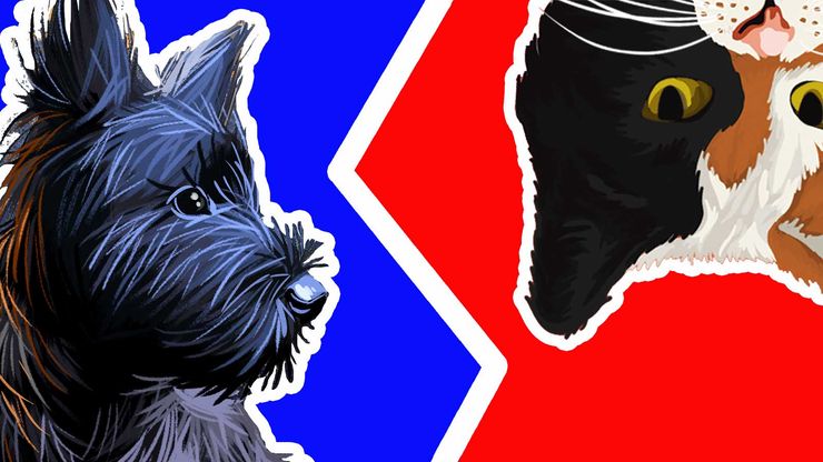 Article background