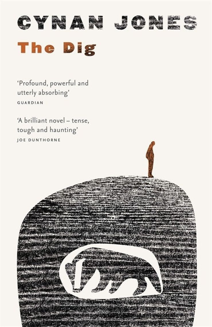 Book cover for The Dig