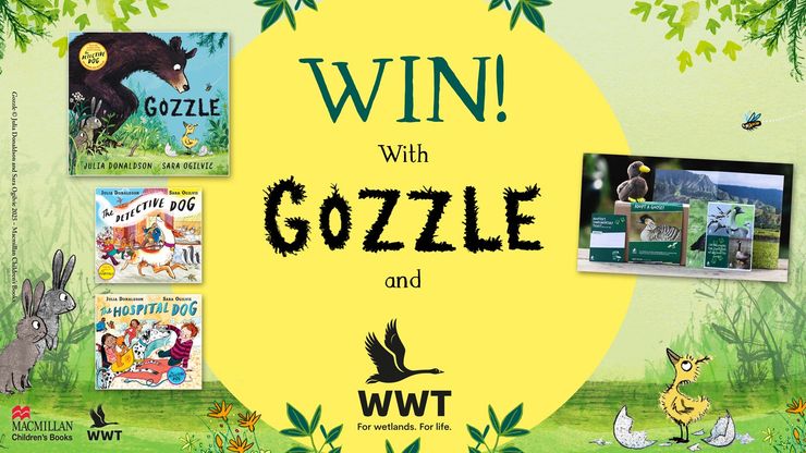 WIN with Gozzle and WWT