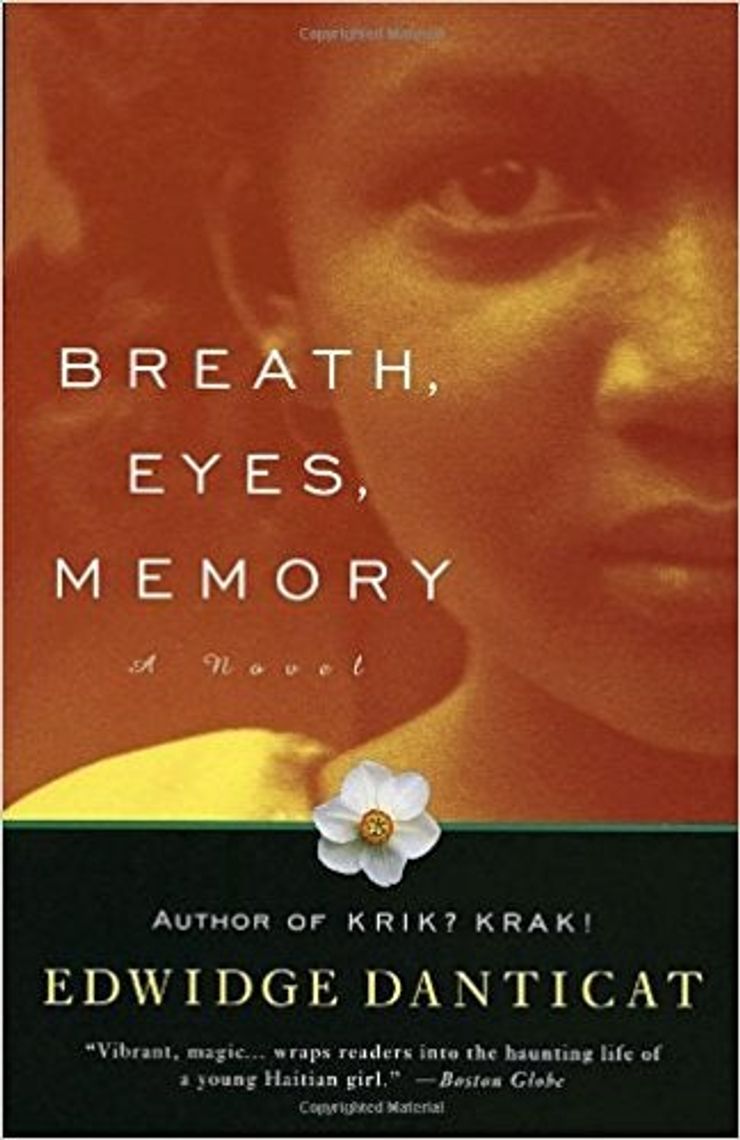 Book cover for Breath, Eyes, Memory