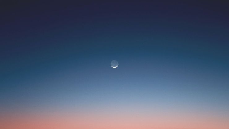 Article background