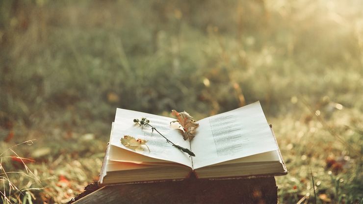 Article background