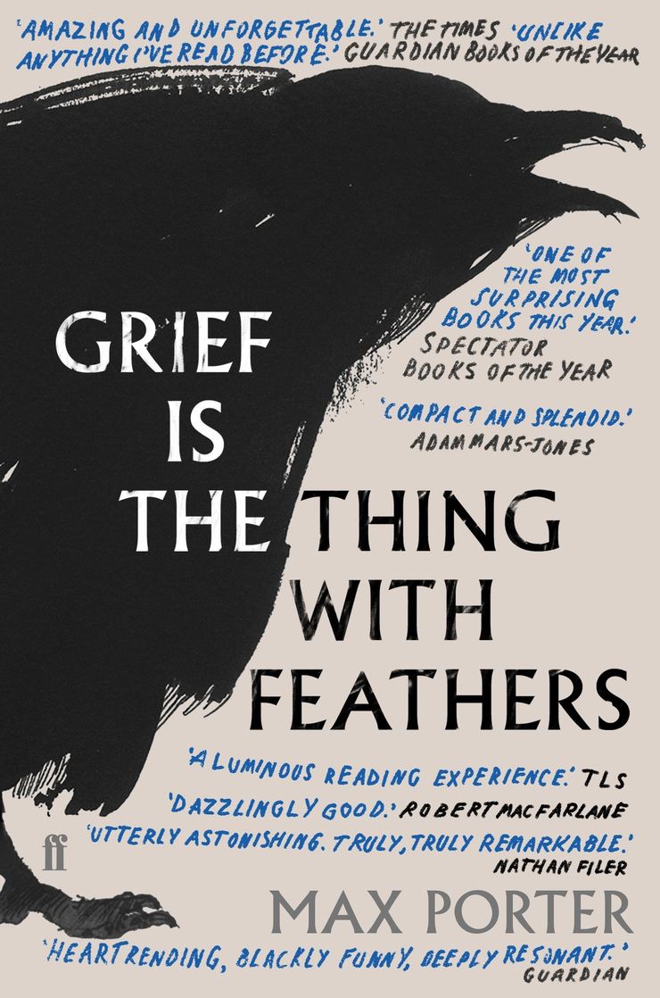 Book cover for Grief is the Thing With Feathers