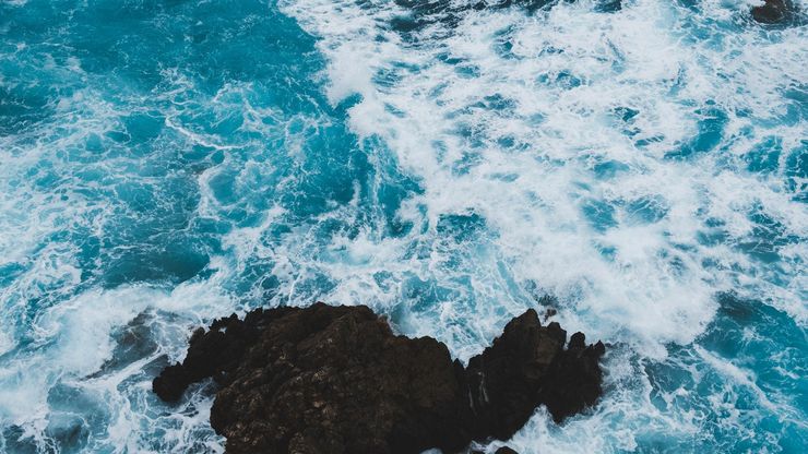 Article background