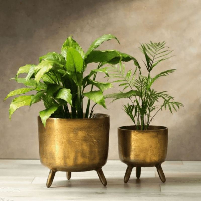 Outdoor & garden