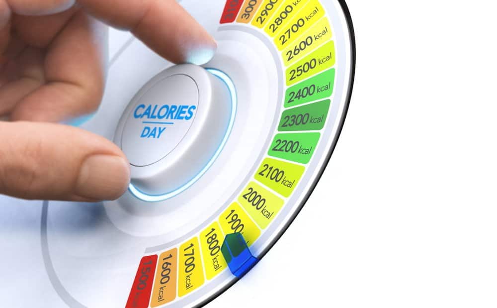 maintenance calorie calculator