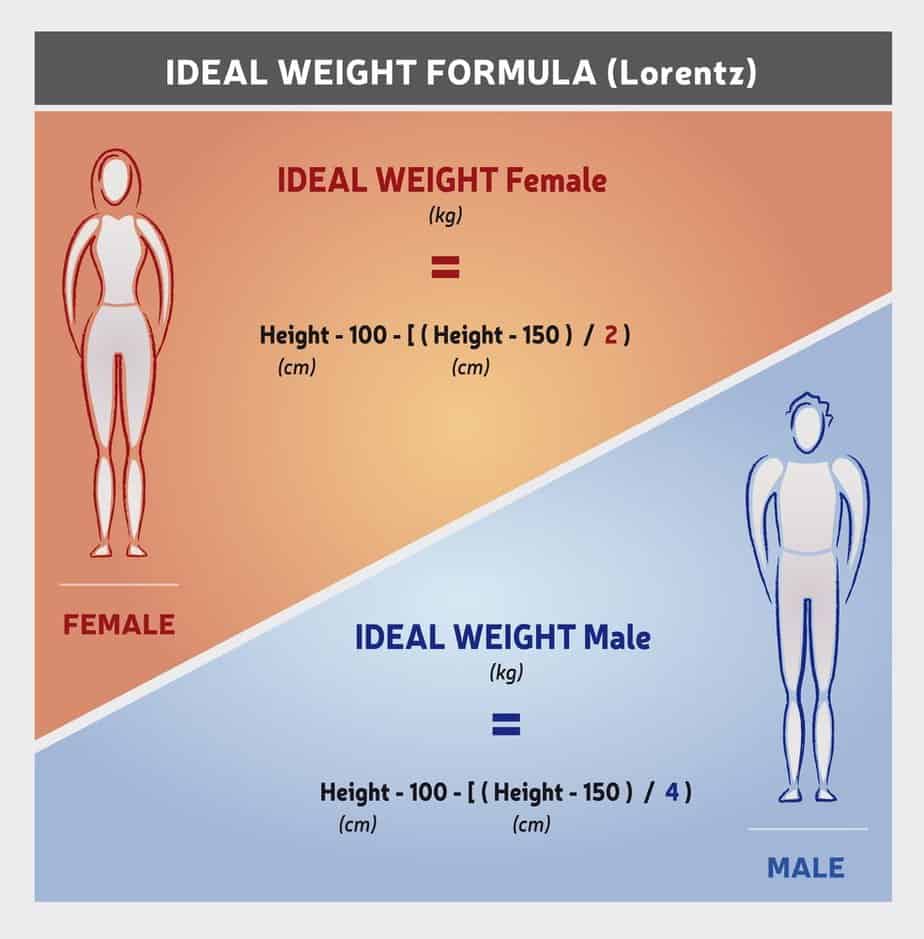 Ideal Body Weight Illustration
