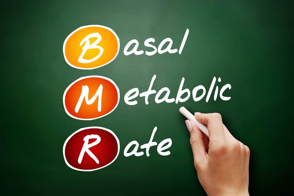 BMR - Basal Metabolic Rate acronym BMR - Basal Metabolic Rate acronym