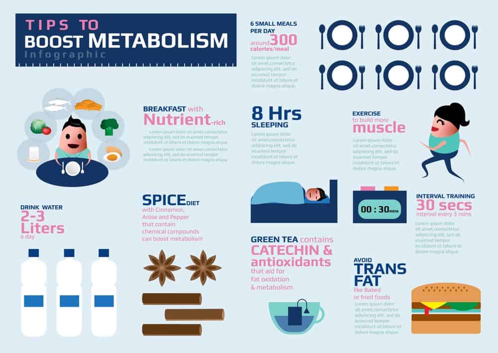 Infographic on tips how to boost metabolism - Natural ways to speed up your metabolism Infographic on tips how to boost metabolism - Natural ways to speed up your metabolism
