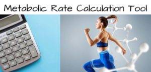 Basal Metabolic Rate Calculation Tool (BMR) – Calculate Your BMR and Speed Up the Weight Loss Process 2