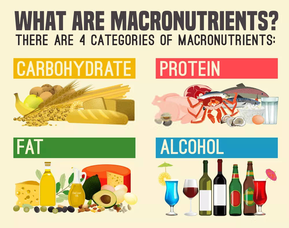 Macro Calculator - How To Calculate Macronutrients The ...