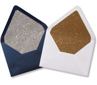 Envelope Liners