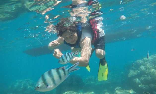 paket wisata karimunjawa
