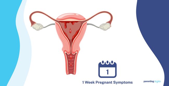 1 Week Pregnant Symptoms