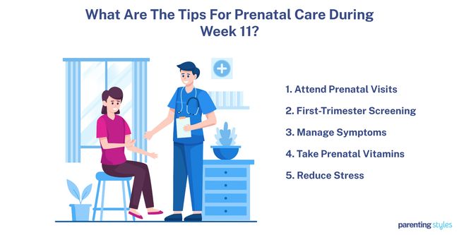 prenatal care 11 week pregnancy