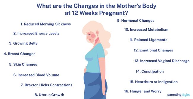 12 weeks pregnant body changes