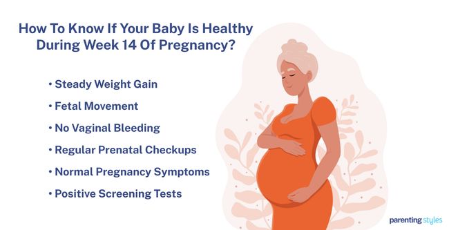 signs of healthy pregnancy 14 weeks