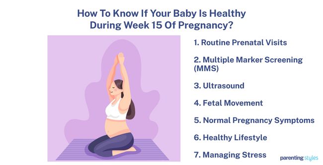 what are signs of a healthy pregnancy at 15 weeks?