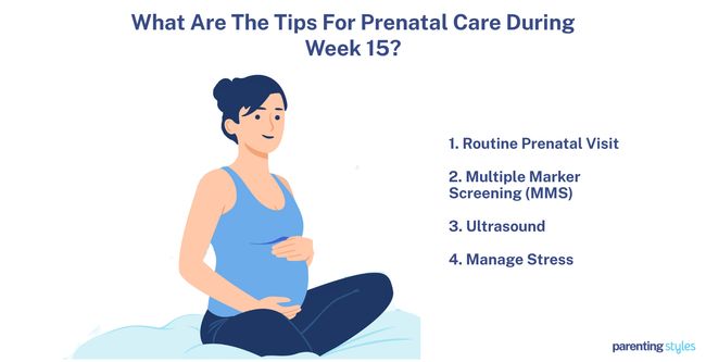 Pregnancy care at 15 weeks