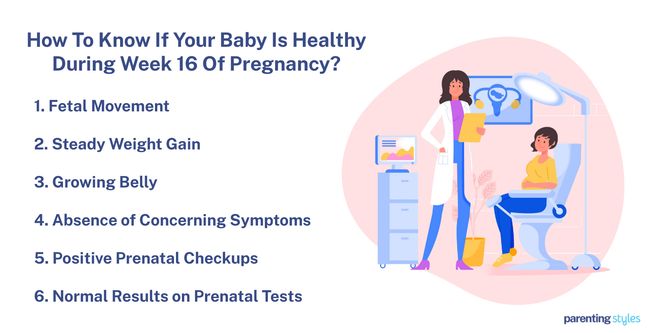 what are signs of a healthy pregnancy at 16 weeks
