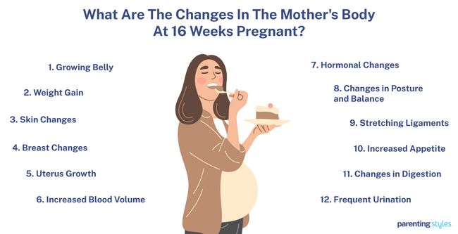 body changes at 16 weeks pregnant