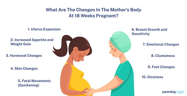 body changes at 18 weeks pregnant