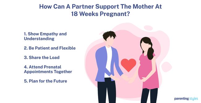 18 weeks pregnant partner support