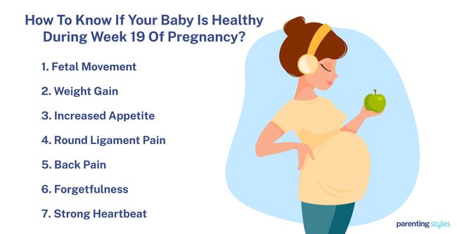 signs of healthy pregnancy at 19 weeks