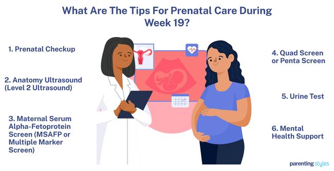 19 weeks pregnant prenatal care