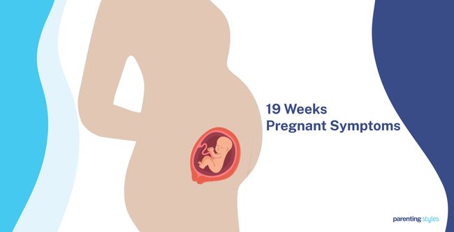 19 weeks pregnant symptoms