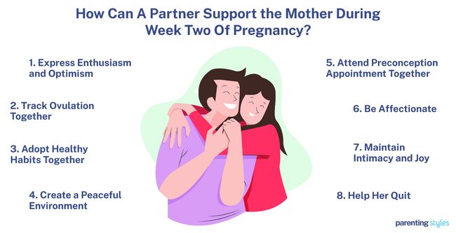 partner support at 2 week pregnant