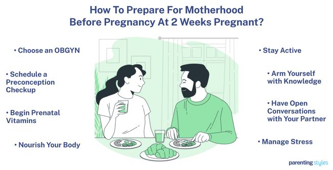 prepare motherhood at 2 weeks of pregnancy