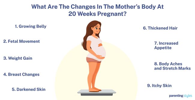 what are the body changes at 20 weeks pregnant