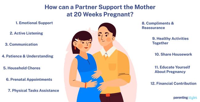 20 weeks pregnant partner support