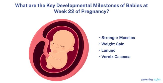 22 week milestones