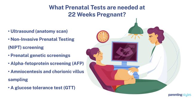 22 weeks pregnant prenatal testing