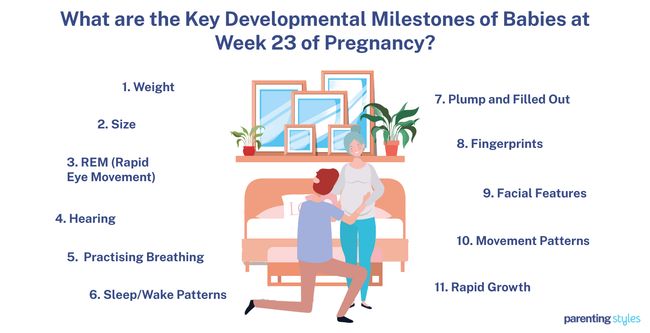 23 weeks pregnant milestones