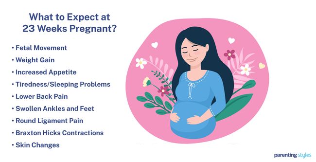 What to Expect at 23 Weeks Pregnant