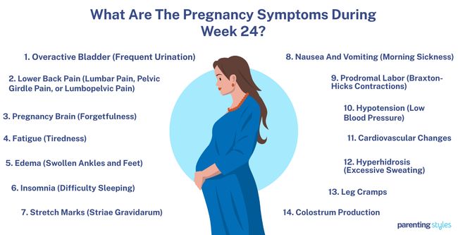 24 weeks pregnancy symptoms
