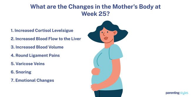 25 Weeks Pregnant body changes